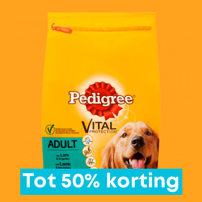 binnenplaats Roos wacht Hondenvoer aanbieding kopen? | Actuele-Aanbiedingen.nl